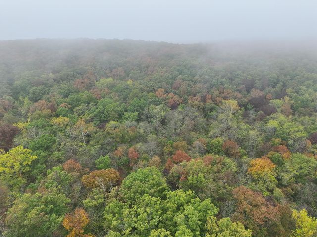 000 County Road 363, Urbana, MO 65767