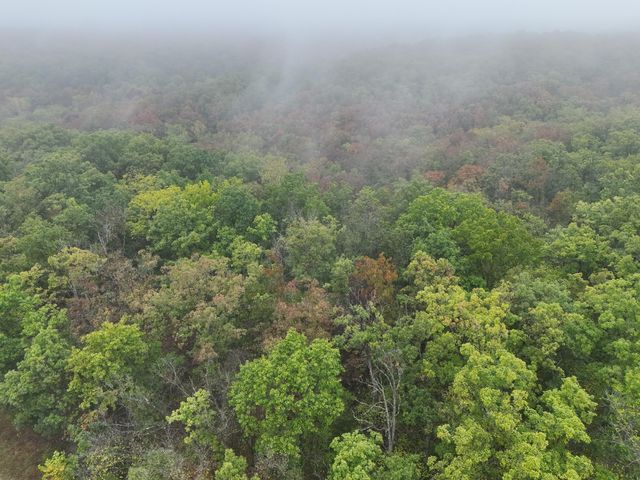 000 County Road 363, Urbana, MO 65767