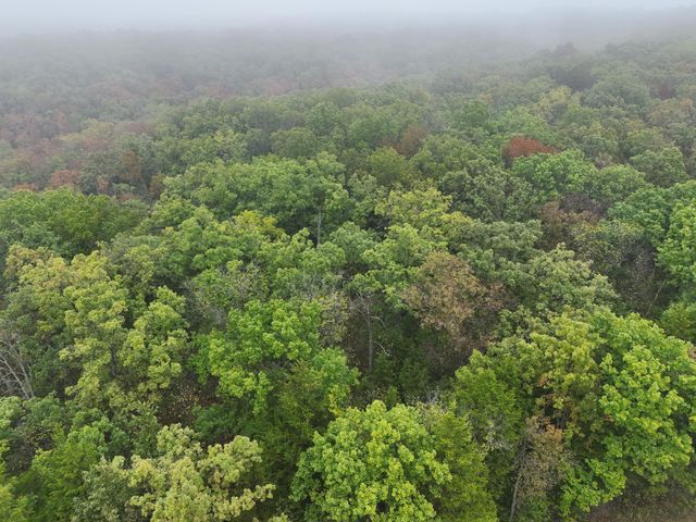 000 County Road 363, Urbana, MO 65767