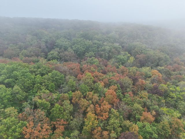 000 County Road 363, Urbana, MO 65767