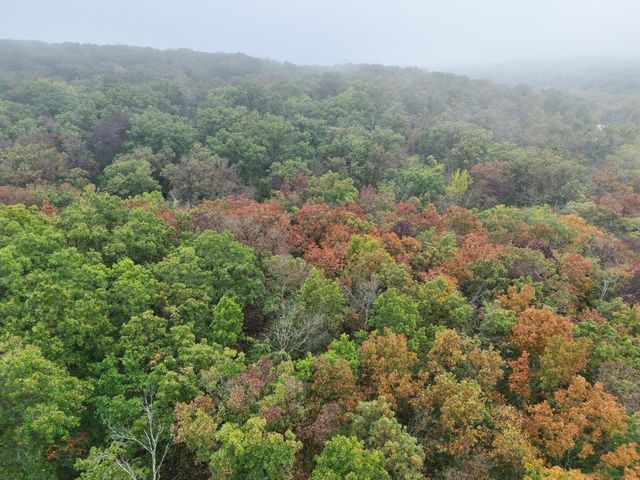 000 County Road 363, Urbana, MO 65767