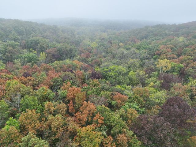 000 County Road 363, Urbana, MO 65767