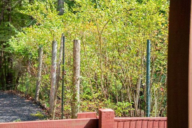 994 Whispering Pine Lane, Cherry Log, GA 30522