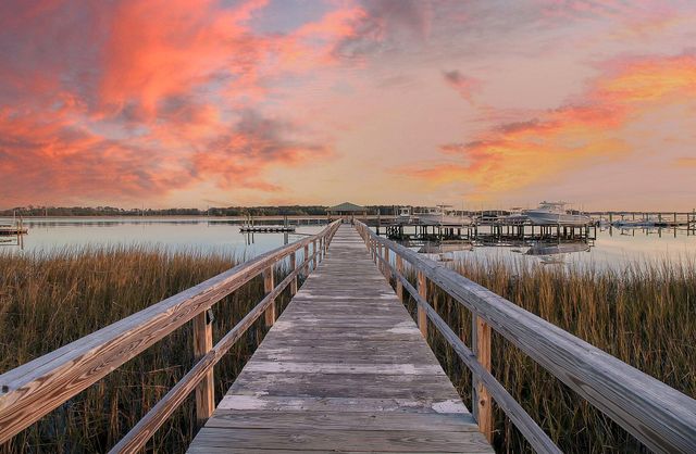 141 Wando Reach Road, Charleston, SC 29492