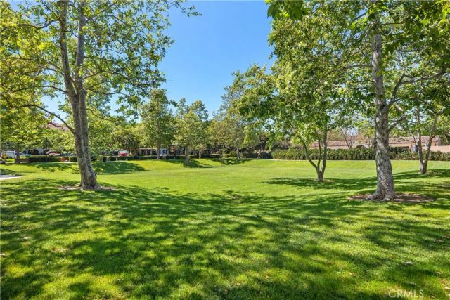 95 Canopy, Irvine, CA 92603