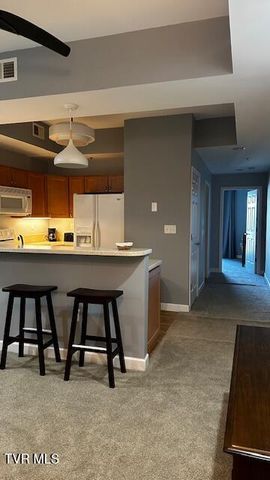 120 Raceday Center Drive Unit 205, Bristol, TN 37620