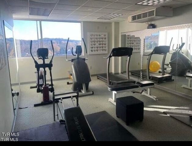 120 Raceday Center Drive Unit 205, Bristol, TN 37620