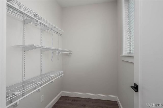 1748 12th, Tuscaloosa, AL 35401