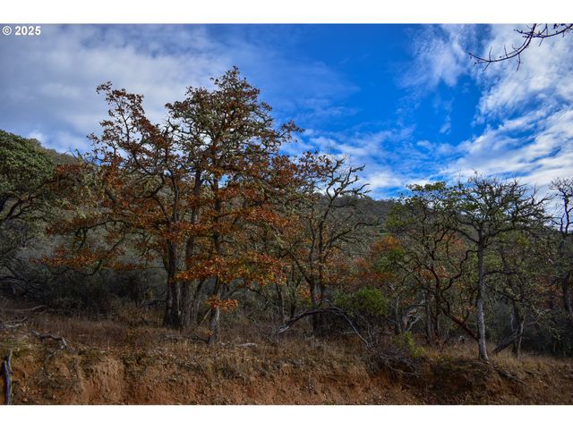 1379 HUMBUG CREEK Rd, Applegate, OR 97530