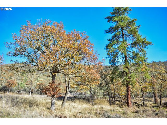 1379 HUMBUG CREEK Rd, Applegate, OR 97530