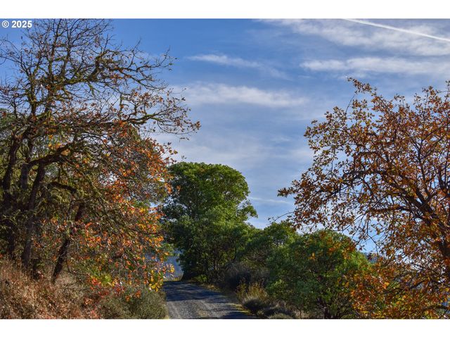 1379 HUMBUG CREEK Rd, Applegate, OR 97530