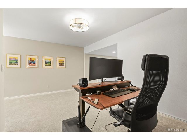 1105 Bulkey St, Castle Rock, CO 80108