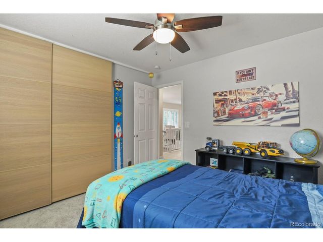 1105 Bulkey St, Castle Rock, CO 80108