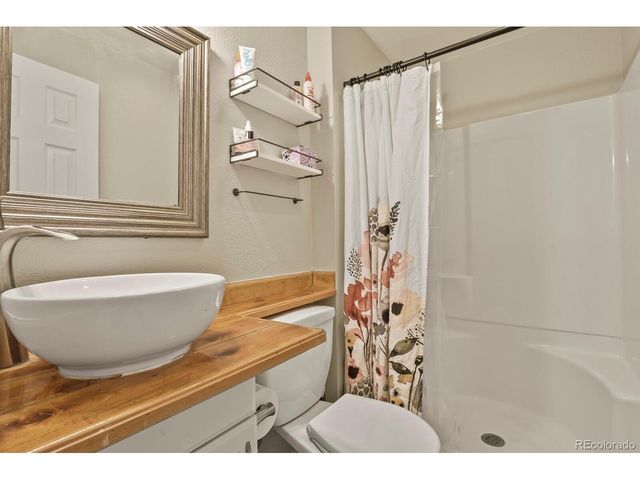 1105 Bulkey St, Castle Rock, CO 80108