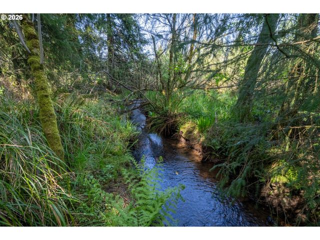 6040 Brickyard Rd, Tillamook, OR 97141