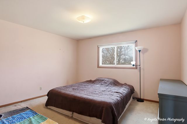 4717 Winnebago Drive, Wonder Lake, IL 60097