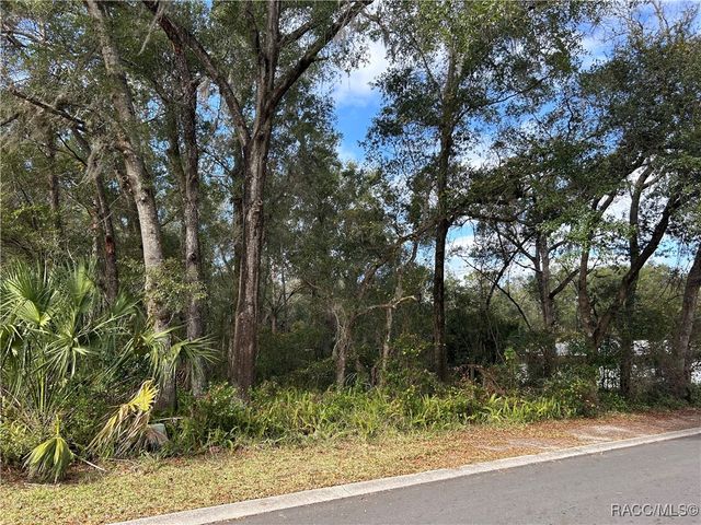 1129 W Bucknell Avenue, Inverness, FL 34450