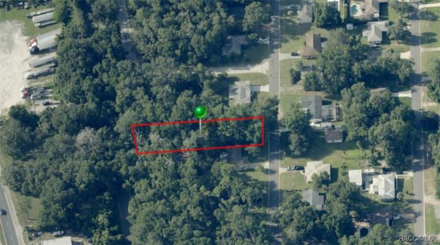 1129 W Bucknell Avenue, Inverness, FL 34450