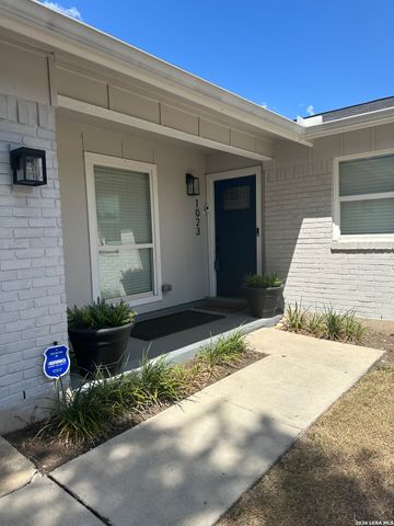 1023 MOREY PEAK DR, San Antonio, TX 78213