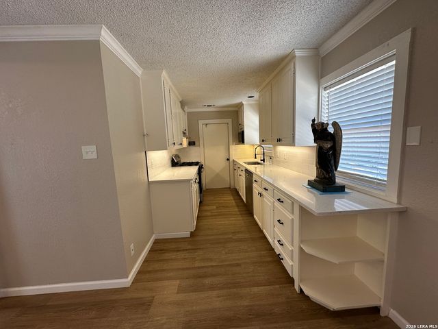 1023 MOREY PEAK DR, San Antonio, TX 78213