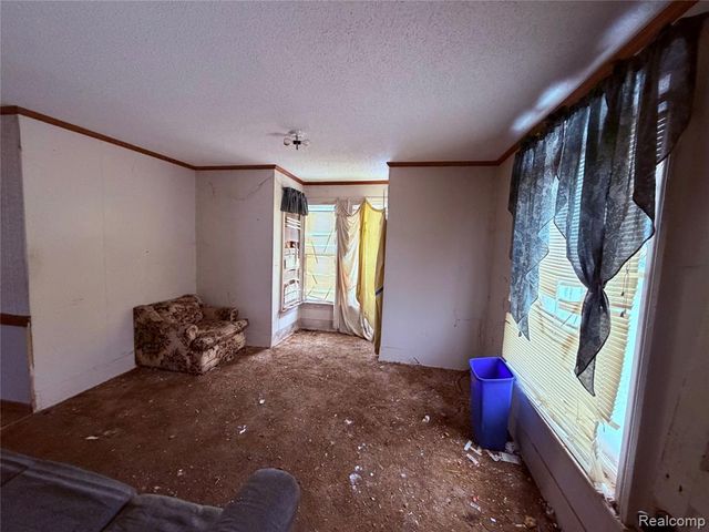 6456 3rd Street, Cass City, MI 48726