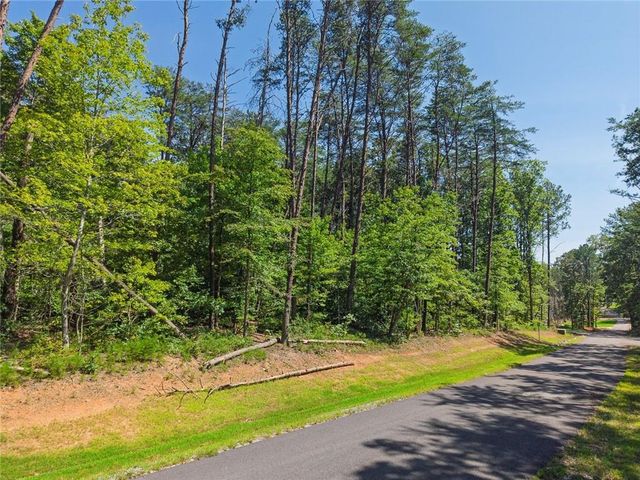 200 Highlands Chase, Ball Ground, GA 30107