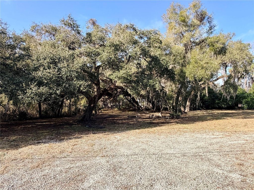 5666 S FLORIDA AVENUE, Floral City, FL 34436