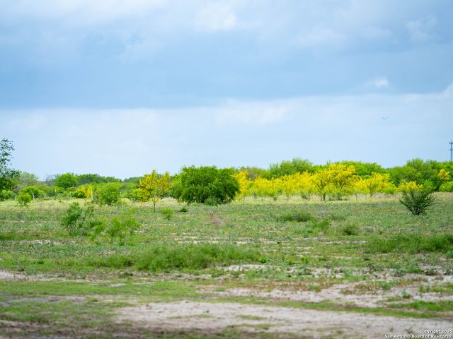 17317 FM 1937, San Antonio, TX 78221
