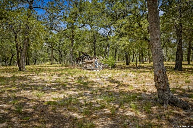 156 Deep Woods Dr, Seguin, TX 78155