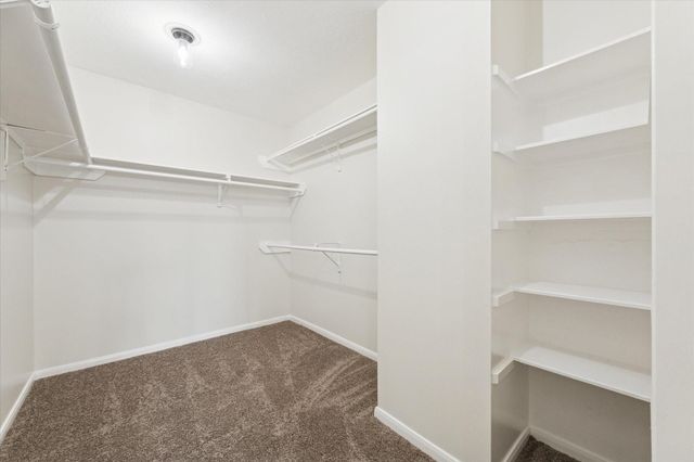 218 Diamond Bay Drive, Dickinson, TX 77539