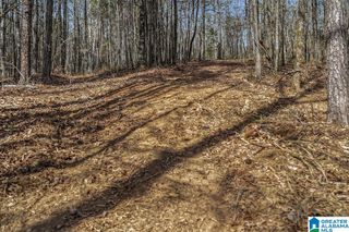 Lot 4 HIGHWAY 47, Columbiana, AL 35051