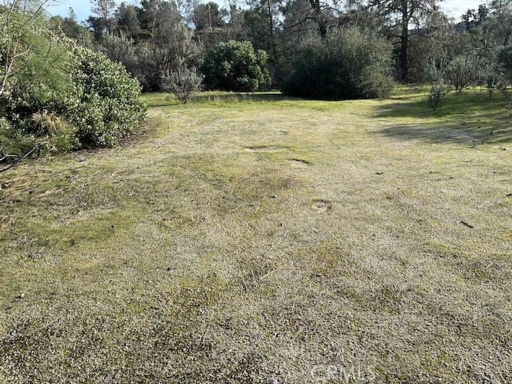 1713 S Longhollow Court, Coarsegold, CA 93614