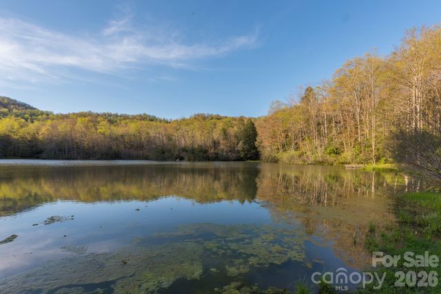 1795 Mckenzie Way N 505, Old Fort, NC 28762