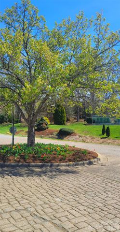 100 Thistle Knoll Court, Asheville, NC 28803
