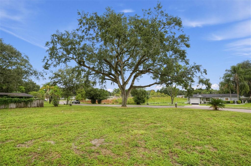 Image 5 of property listing at 3036 CONDEL DRIVE, Orlando, FL 32812