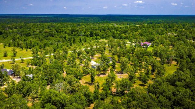950 Brushy Creek Drive, Onalaska, TX 77360