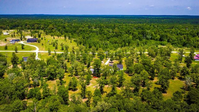 950 Brushy Creek Drive, Onalaska, TX 77360