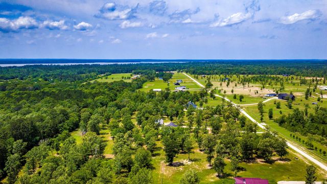 950 Brushy Creek Drive, Onalaska, TX 77360