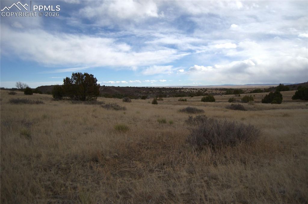 Rosemoore Drive, Colorado City, CO 81069 — photo 2