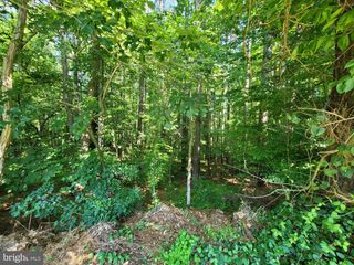 ARRINGTON RD, Queenstown, MD 21658