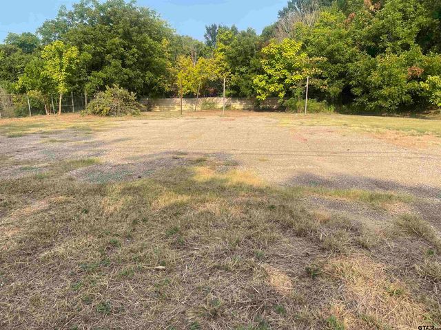 512 S JOHNSON, Mineola, TX 75773