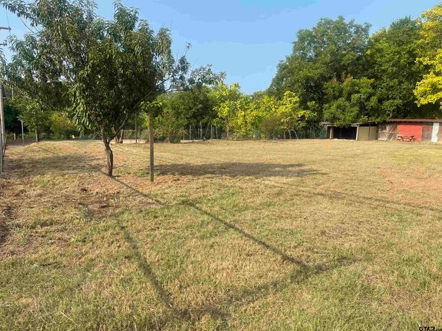 512 S JOHNSON, Mineola, TX 75773