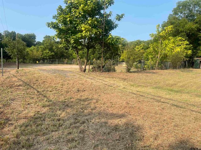 512 S JOHNSON, Mineola, TX 75773