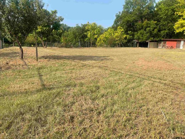 512 S JOHNSON, Mineola, TX 75773