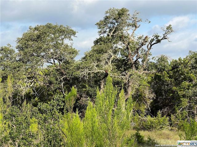 1134 Madrone Road, Fischer, TX 78623