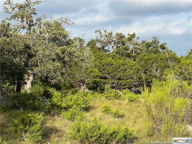 1134 Madrone Road, Fischer, TX 78623
