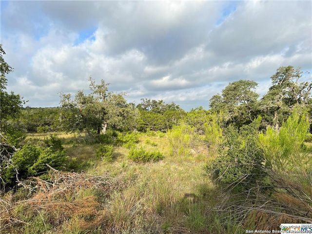 1134 Madrone Road, Fischer, TX 78623