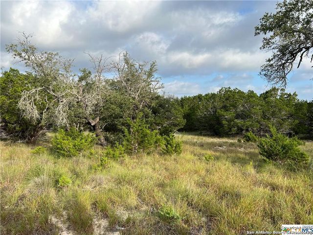 1134 Madrone Road, Fischer, TX 78623