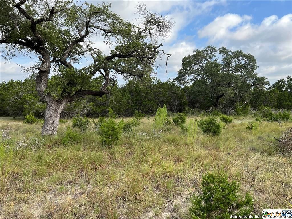 1134 Madrone Road, Fischer, TX 78623