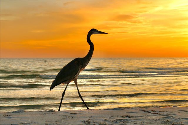 1035 SEASIDE DRIVE 503, Sarasota, FL 34242